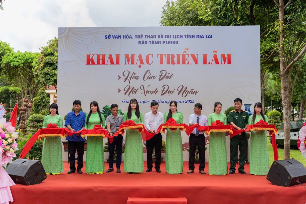 Gia Lai: Khai mạc Triển lãm hồn “Hồn của đất” và trưng bày bonsai “Nét xanh đại ngàn” - ảnh 1
