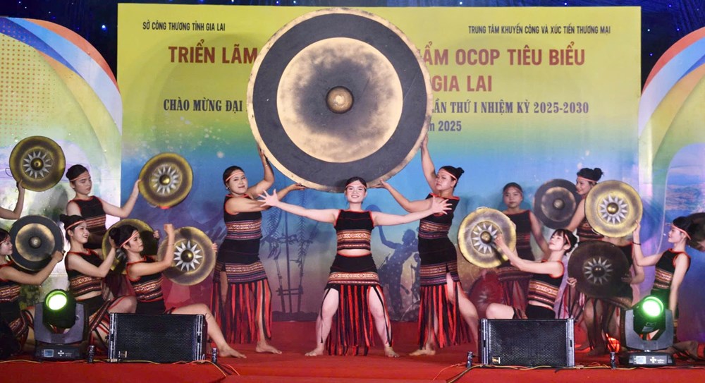 Đặc sắc chương trình nghệ thuật chào mừng Đại hội đại biểu Đảng bộ tỉnh Gia Lai - ảnh 2