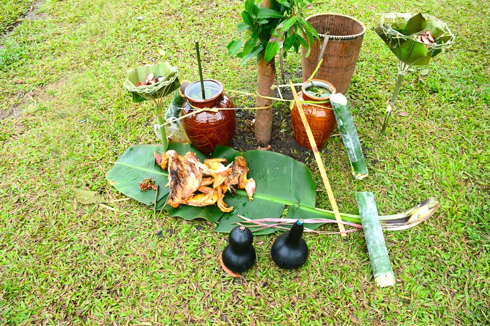 Gia Lai: Phục dựng Lễ cúng lúa mùa của người Jrai  - ảnh 2