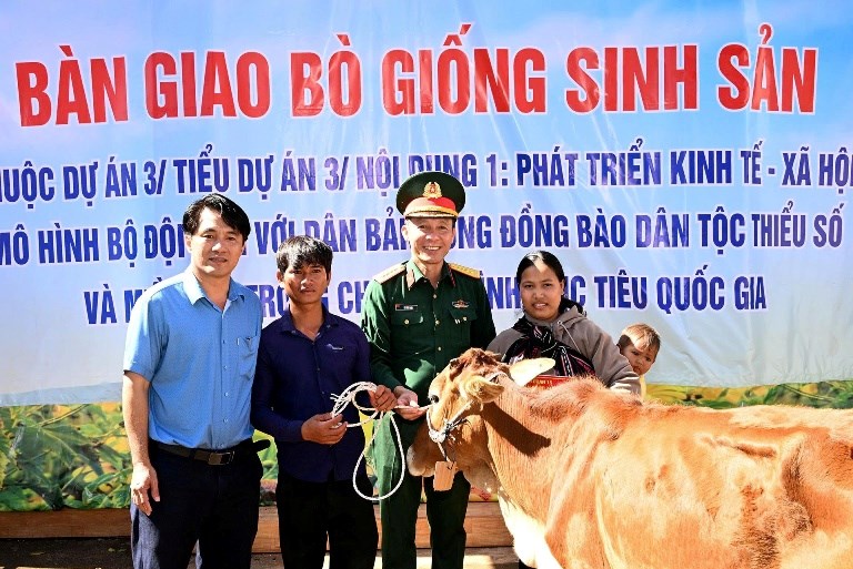 Gia Lai: Tặng 42 con bò giống cho đồng bào DTTS và hộ nghèo - ảnh 1