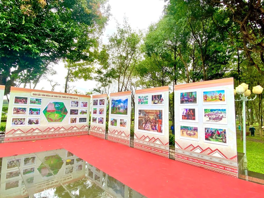 Triển lãm “Đất và người Gia Lai - Những sắc màu mới” - ảnh 3