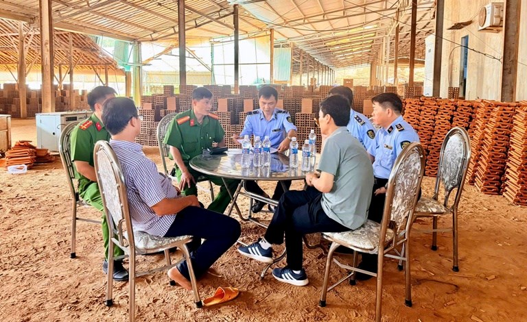 Gia Lai: Ngăn đầu cơ, bình ổn thị trường - ảnh 2