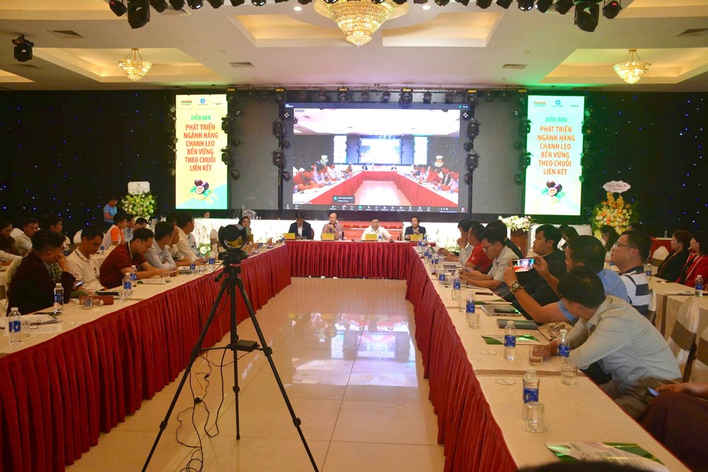 Gia Lai: Định hướng phát triển bền vững cho ngành hàng chanh leo - ảnh 3