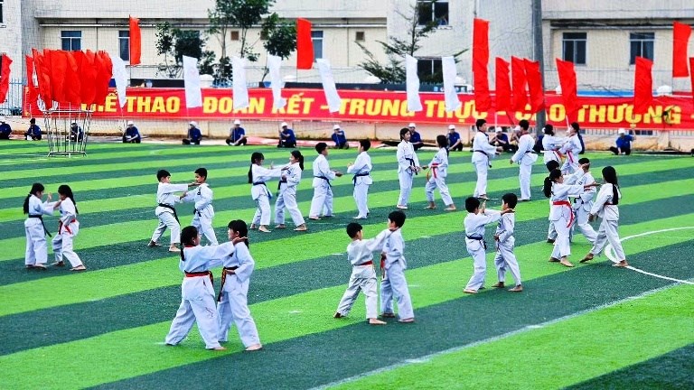 Gia Lai: Hơn 500 VĐV tham gia Đại hội TDTT phường Pleiku lần thứ I - ảnh 3