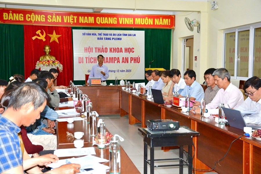 Gia Lai: Đề xuất xếp hạng Di tích Champa An Phú là di tích cấp tỉnh - ảnh 1