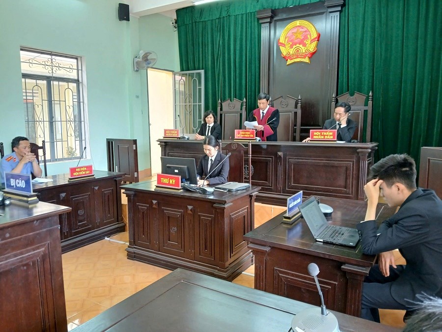 Gia Lai: Xét xử 8 bị cáo liên quan sai phạm trong quản lý, bảo vệ rừng - ảnh 1