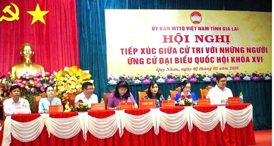 Gia Lai hoàn tất công tác chuẩn bị, sẵn sàng cho Ngày hội lớn - ảnh 3