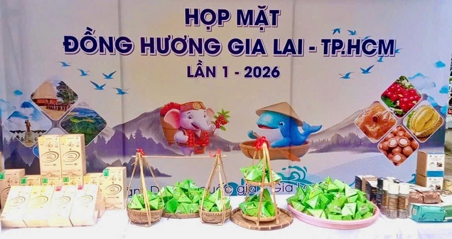 Gia Lai quảng bá, mở rộng thị trường tiêu thụ nông sản tại TP. Hồ Chí Minh - ảnh 4