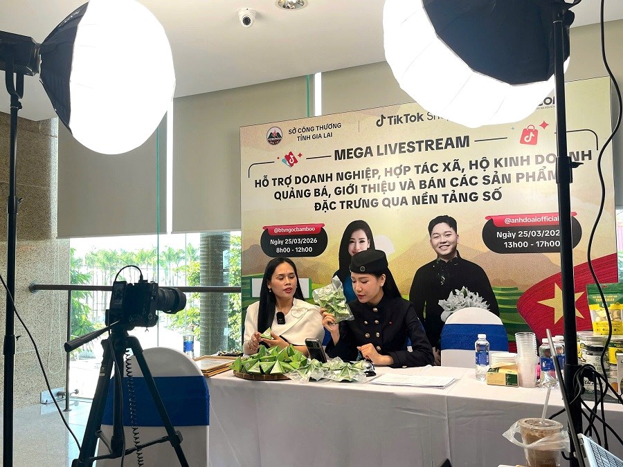 Gia Lai: Quảng bá, tiêu thụ nông sản qua thương mại điện tử - ảnh 2