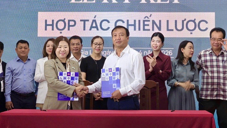 Khát vọng vươn tầm sâm Việt từ vùng đất cửa ngõ Tây Nguyên - ảnh 4