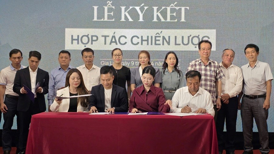 Khát vọng vươn tầm sâm Việt từ vùng đất cửa ngõ Tây Nguyên - ảnh 3