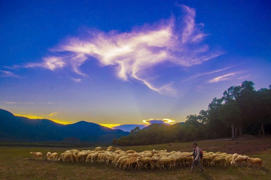Bài cuối: Khẳng định vị thế điểm đến hàng đầu - ảnh 9