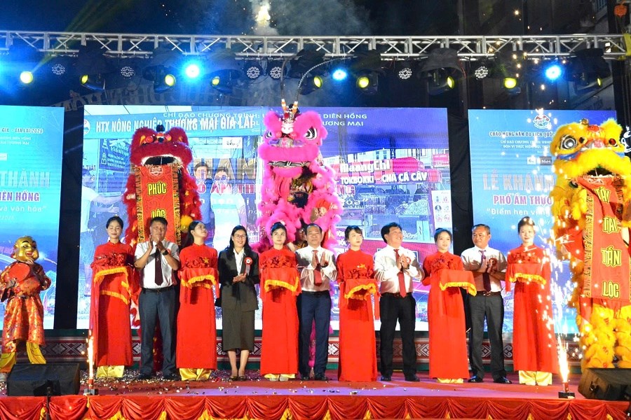 Gia Lai: Phố ẩm thực Diên Hồng - không gian trải nghiệm hấp dẫn về đêm  - ảnh 1