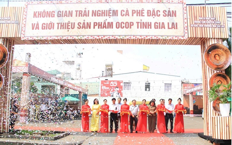 Gia Lai: Trải nghiệm không gian cà phê đặc sản, sản phẩm OCOP - ảnh 1