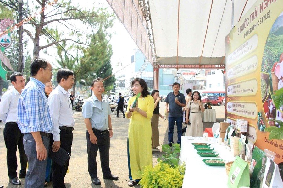 Gia Lai: Trải nghiệm không gian cà phê đặc sản, sản phẩm OCOP - ảnh 2