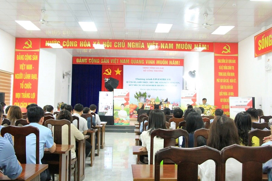 Gia Lai: Quảng bá nông sản qua livestream, kết nối sàn thương mại điện tử - ảnh 3
