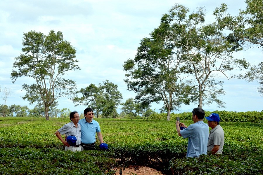 Gia Lai: Phố núi Pleiku nhộn nhịp khách tham quan dịp lễ - ảnh 4