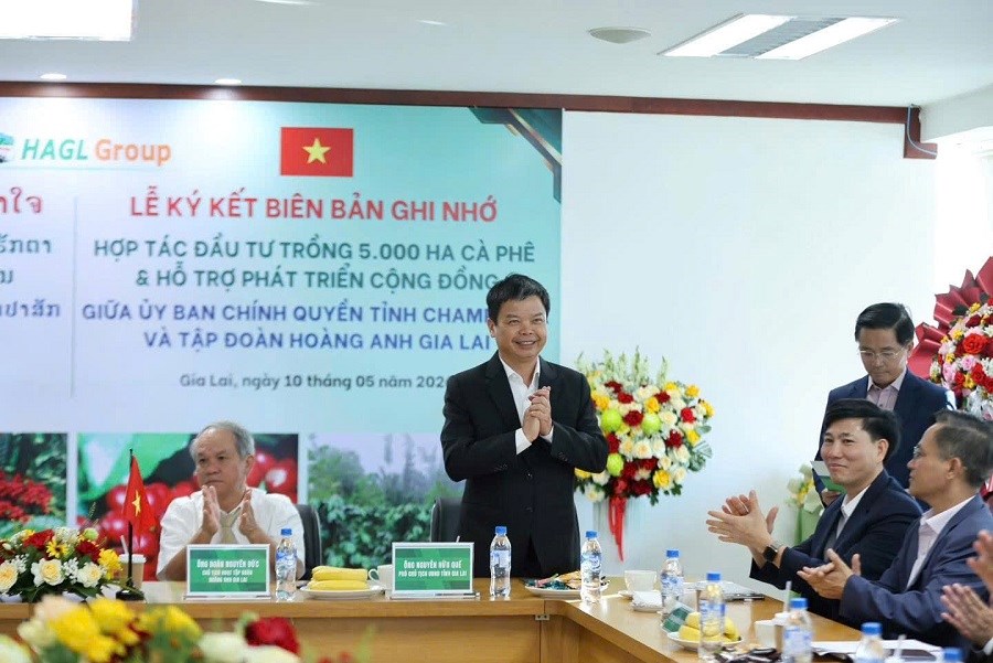 Gia Lai: Tập đoàn HAGL và tỉnh Champasak hợp tác Dự án trồng 5.000ha cà phê - ảnh 1