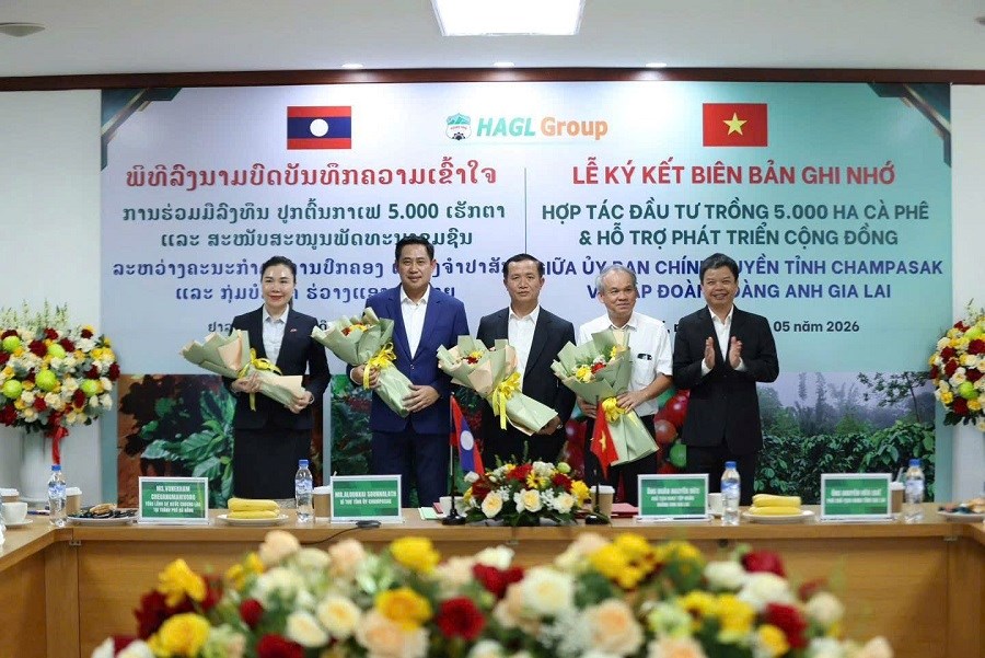 Gia Lai: Tập đoàn HAGL và tỉnh Champasak hợp tác Dự án trồng 5.000ha cà phê - ảnh 3