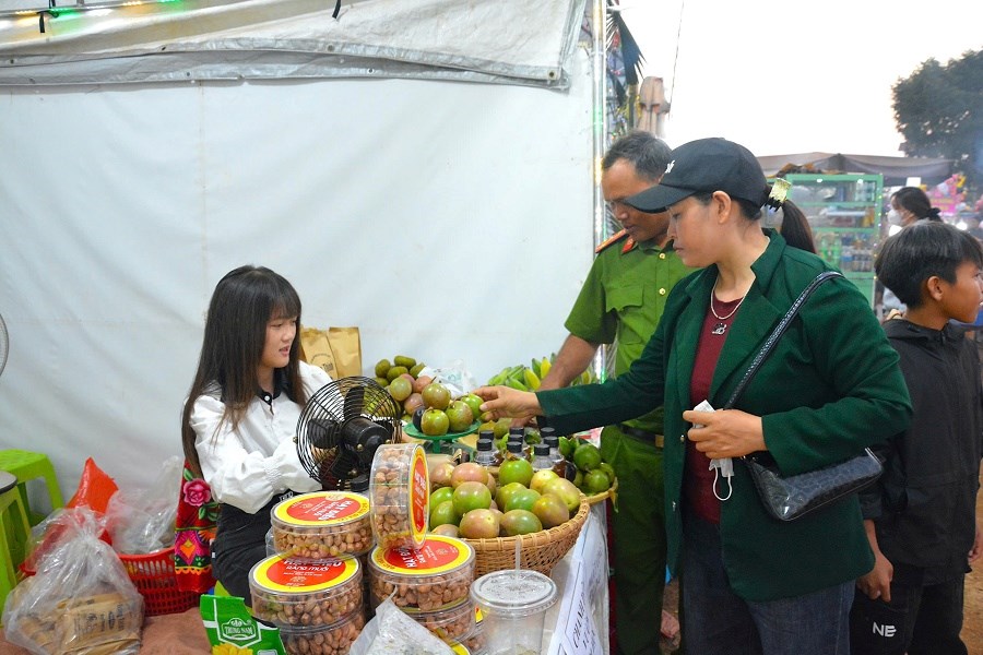 Gia Lai: Đẩy mạnh kết nối giao thương nông sản, sản phẩm OCOP - ảnh 3