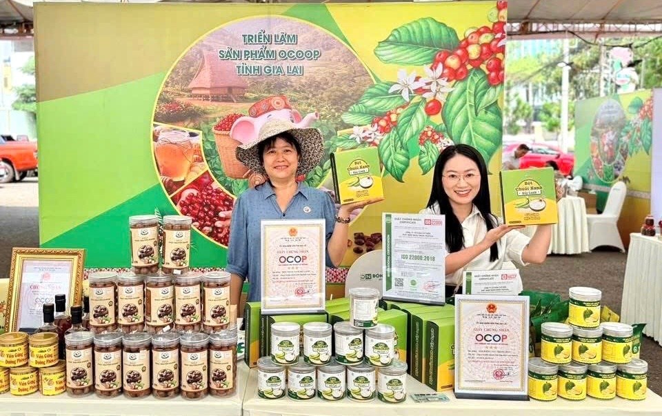 Gia Lai: Đẩy mạnh kết nối giao thương nông sản, sản phẩm OCOP - ảnh 1