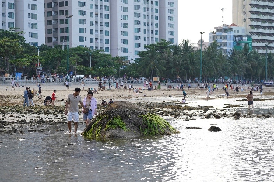 Khánh Hòa: Khoanh vùng bảo vệ rạn san hô khu vực danh thắng Hòn Chồng  - ảnh 4