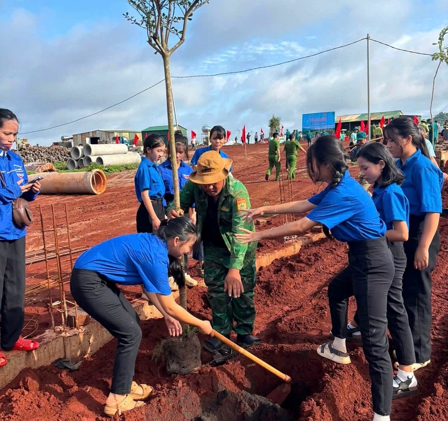Gia Lai: Chung tay phủ xanh vùng biên hưởng ứng Ngày Môi trường thế giới - ảnh 2