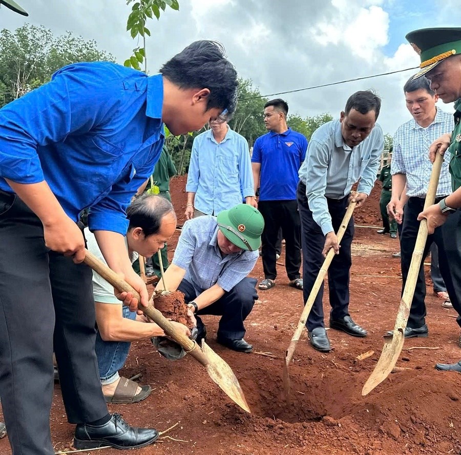 Gia Lai: Chung tay phủ xanh vùng biên hưởng ứng Ngày Môi trường thế giới - ảnh 3
