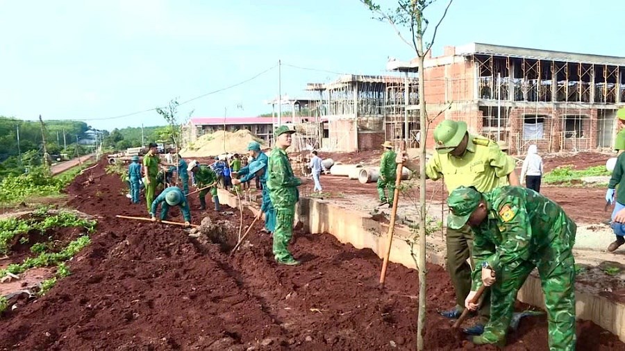 Gia Lai: Chung tay phủ xanh vùng biên hưởng ứng Ngày Môi trường thế giới - ảnh 1