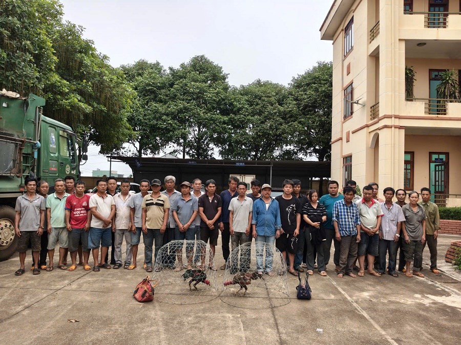 Gia Lai: Bắt giữ 31 đối tượng tham gia đá gà - ảnh 1