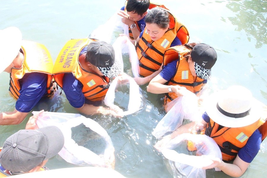 Khánh Hòa: Chung tay tái tạo hệ sinh thái biển, hướng đến du lịch xanh, bền vững - ảnh 5