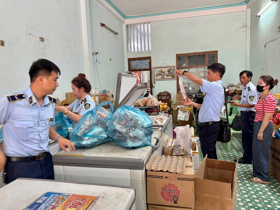 Gia Lai: Tăng cường kiểm tra, xử lý vi phạm trên nhiều lĩnh vực trọng điểm - ảnh 2