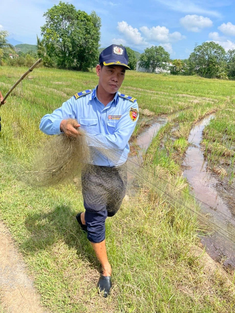 Khánh Hòa: Tình trạng bẫy chim trời vẫn hoành hành  - ảnh 2