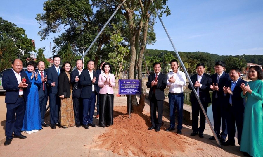 Hà Nội - Lâm Đồng: Nửa thế kỷ vun đắp nghĩa tình trên cao nguyên - ảnh 8