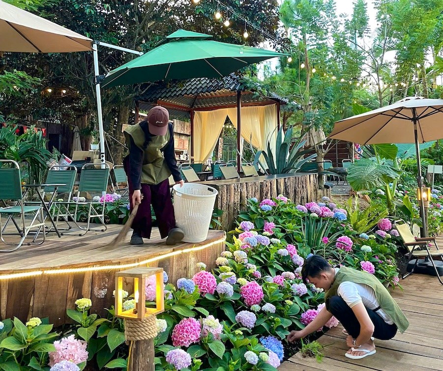 Gia Lai: Kết nối trải nghiệm, lan tỏa sắc màu cao nguyên - ảnh 3