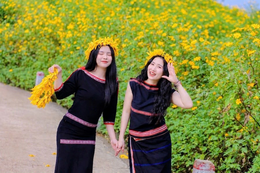 Sắc vàng dã quỳ gọi mùa hội trên cao nguyên Gia Lai - ảnh 4