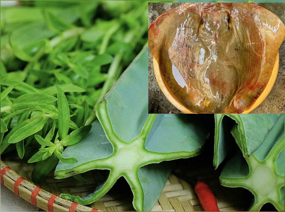 Đến biển Nhật Lệ thưởng thức canh xương rồng cá đuối - ảnh 2