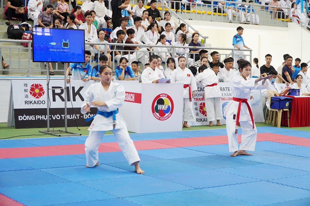 600 võ sinh Karate tranh tài 75 bộ huy chương - ảnh 3