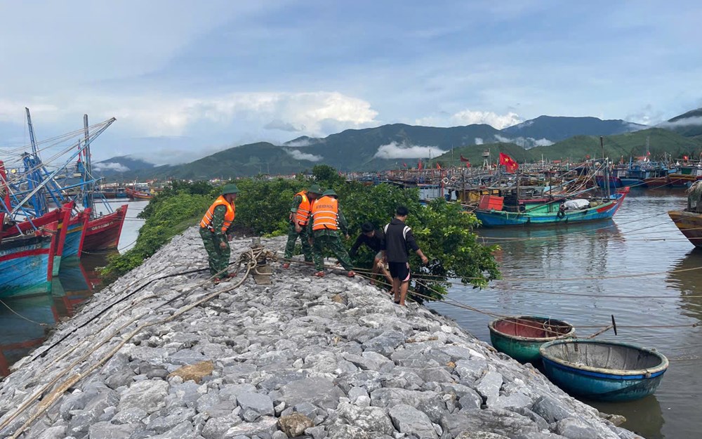 Bộ đội giúp dân gặt lúa "chạy" bão số 10 - ảnh 2