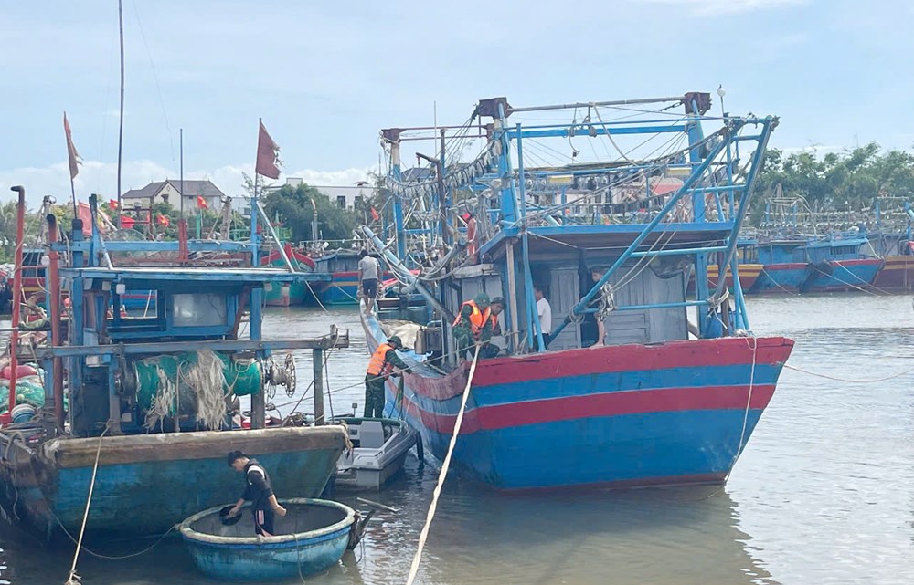 Bộ đội giúp dân gặt lúa "chạy" bão số 10 - ảnh 3