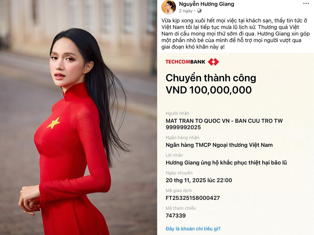 Nhiều nghệ sĩ Việt chung tay ủng hộ đồng bào vùng lũ - ảnh 2