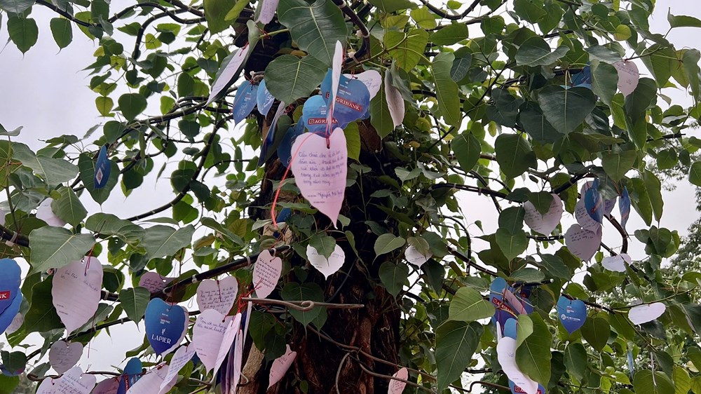 Người dân hào hứng trải nghiệm các hoạt động tại “Ngày hội Việt Nam hạnh phúc“ - ảnh 7