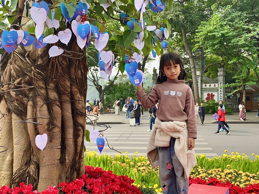 Người dân hào hứng trải nghiệm các hoạt động tại “Ngày hội Việt Nam hạnh phúc“ - ảnh 6