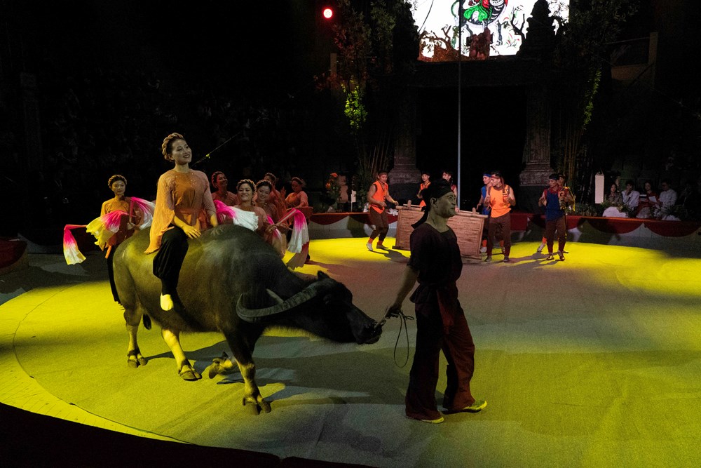 Khi tranh dân gian Đông Hồ bước lên sân khấu xiếc - ảnh 6