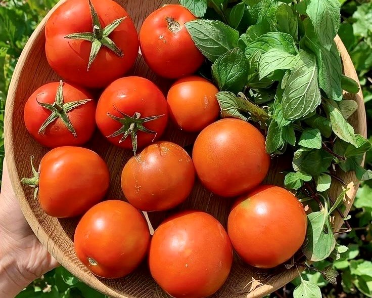 5 thực phẩm không nên bảo quản trong tủ lạnh - ảnh 1