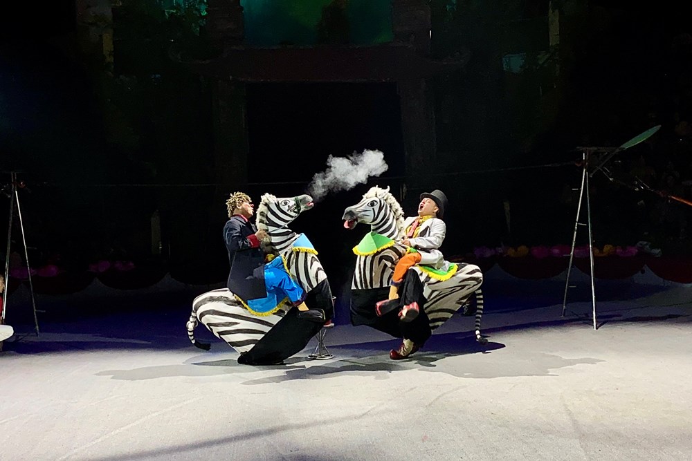 Liên đoàn Xiếc Việt Nam rộn ràng khai xuân với “Ngựa du xuân ba miền” - ảnh 8