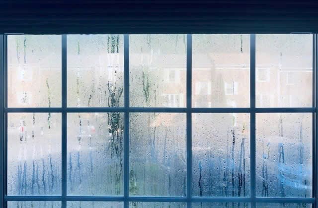 5 bí quyết ứng phó với tiết trời nồm ẩm - ảnh 1