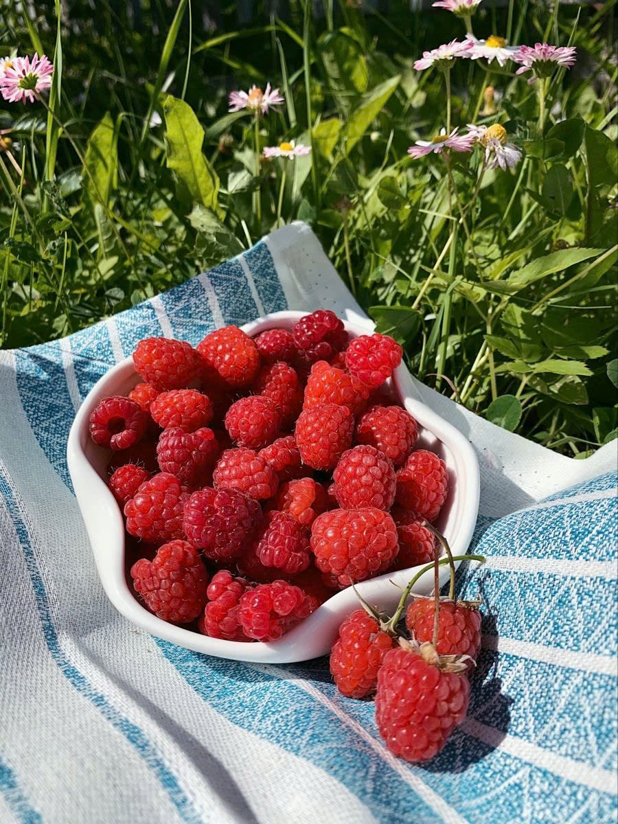 Tăng trí nhớ, cải thiện tập trung nhờ 7 thực phẩm quen thuộc - ảnh 4