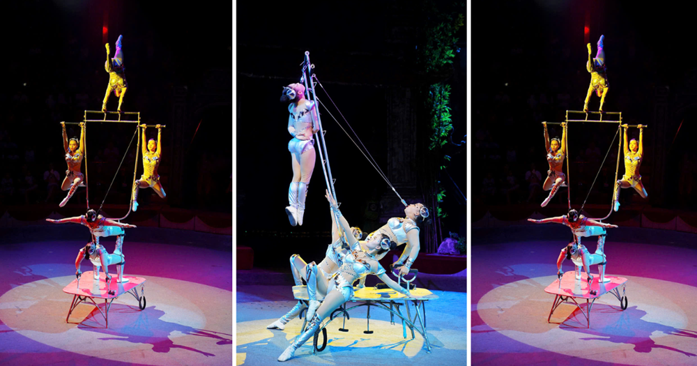 “Bữa tiệc” từ “Gala xiếc và ảo thuật ba miền” thu hút khán giả dịp lễ - ảnh 8