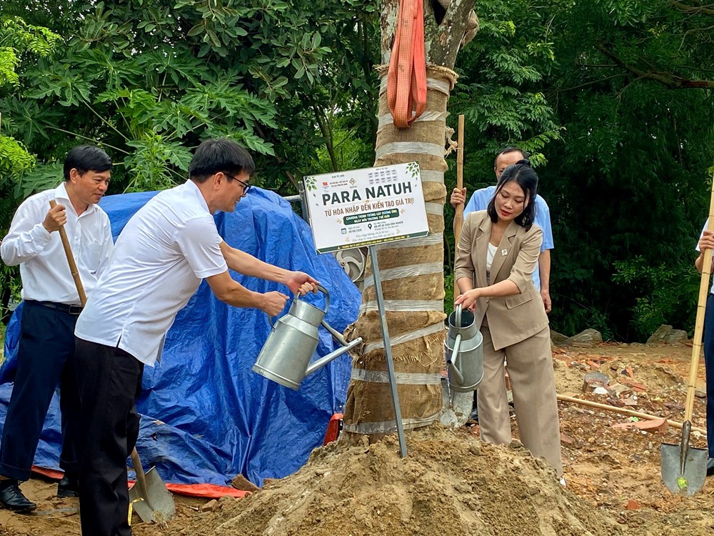 Chung sức bảo vệ môi trường, xây dựng cộng đồng hòa nhập và bền vững - ảnh 2